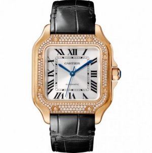 Copy Cartier Santos Automatic Self Wind WJSA0007 Unisex Watch