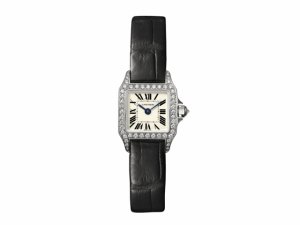 Cartier Santos Demoiselle - Mini Ladies replica Watch WF902005