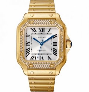 Copy Cartier Santos Automatic Self Wind WJSA0010 Unisex Watch