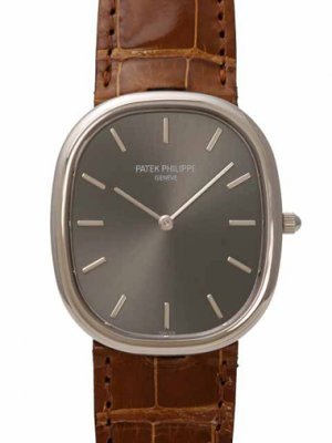 Patek Philippe Golden Ellipse watch 3738-100R