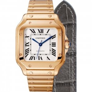 Copy Cartier Santos Automatic Self Wind WGSA0008 Mens Watch