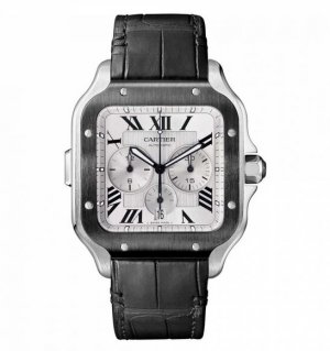 Copy Cartier Santos Automatic Self Wind WSSA0017 Mens Watch