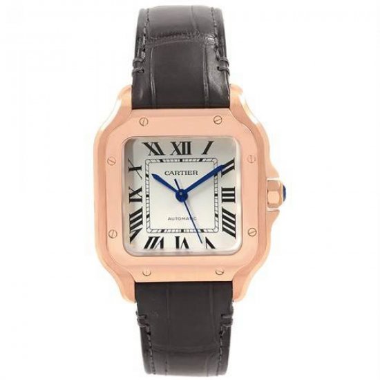 Copy Cartier Santos Automatic Self Wind WGSA0012 Mens Watch - Click Image to Close