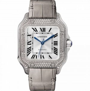 Copy Cartier Santos Automatic Self Wind WJSA0006 Unisex Watch