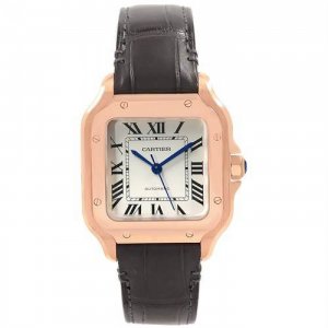 Copy Cartier Santos Automatic Self Wind WGSA0012 Mens Watch