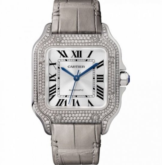 Copy Cartier Santos Automatic Self Wind WJSA0006 Unisex Watch - Click Image to Close