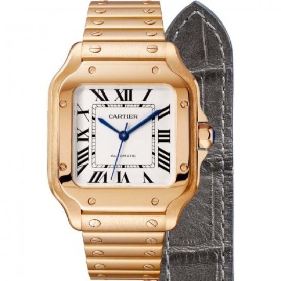 Copy Cartier Santos Automatic Self Wind WGSA0008 Mens Watch - Click Image to Close