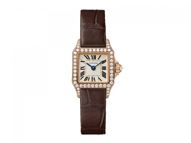 Cartier Santos Demoiselle - Small WF902006 - Click Image to Close